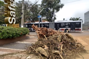 Estragos pós-apagão na Avenida Santo Amaro, zona sul de São Paulo