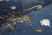 Móveis foram vandalizados