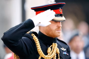 Príncipe Harry perdeu os títulos reais ao renunciar ao serviço na Coroa britânica