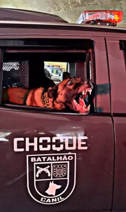 Tank mostra os dentes após receber comando de ataque