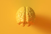 Remédios levam o cérebro a acumular serotonina e ter maior atividade cerebral