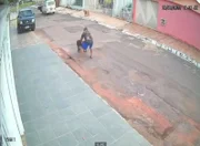 No fim, ele consegue carregar o cachorro de volta para o veículo e o gato foge