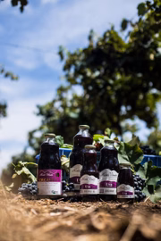 O suco começou a fazer sucesso após o escândalo envolvendo grandes vinícolas do Brasil