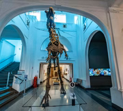 Museu de Zoologia
