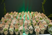 Detalhes do evento