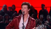 Shawn Mendes também é um dos nomes que participam da homenagem a Elvis