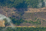 De acordo com a pesquisa do Instituto de Pesquisa Ambiental da Amazônia (Ipam), mais da metade (51%) do desmatamento do último triênio ocorreu em terras públicas, principalmente (83%) em locais de domínio federal