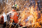 Incêndio no Parque Nacional (Parna) de Brasília