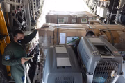 De acordo com o Ministério da Defesa, o avião também deve levar 11,6 toneladas de material de ajuda humanitária para o território ucraniano