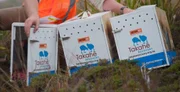 Nova Zelândia investe, po9r décadas, para tirar a ave takahē da lista de animais extintos 