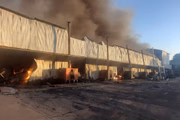 Galpões da empresa também foram queimados no incêndio