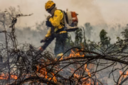 Incêndios no Pantanal já batem recorde desde início da série histórica