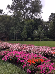 Jardim do espaço 