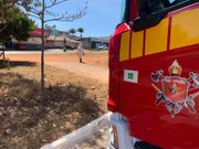 Bombeiros já procederam com a remoção do enxame