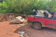 Agentes do DF Legal flagraram a dupla em uma área de preservação ambiental em Samambaia 