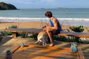 Nicolas Prattes compartilha vários cliques com a nova pet