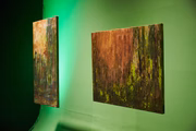 Obras do Cerrado de Patrícia Monteiro