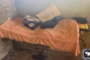 O empregador não fornecia roupa de cama e itens de higiene pessoal
