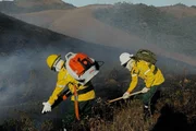 A brigada comunitária surgiu da organização e da necessidade dos moradores do Vale do Matutu, no Sul de Minas Gerais, município de Airoca, na Serra da Mantiqueira