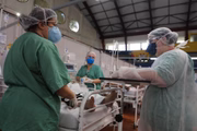Hospital de Campanha Pedro Dell'Antonia de Santo André - São Paulo