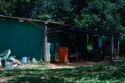 O homem, segundo os verdadeiros proprietários, teria invadido o local e recusado sair
