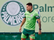 Paulinho, com as cores do Palmeiras