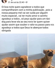 Em outra publicação, a tutora conta sua versão