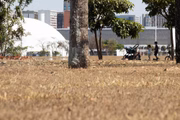 Durante o período da seca, o clima se mantém como o de deserto, quente durante o dia e mais fresco à noite, até a chegada das chuvas, em outubro