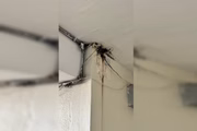 Deputados encontram superlotação e falta de insumos em Hospital do DF