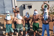 Membros da Mancha Verde
