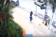 O passeador e os cachorros atravessavam na faixa com o sinal verde para pedestres
