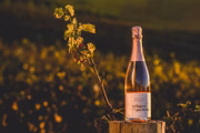 Bella Collagen Sparkling Pink, da Bella Wines, marca autêntica do Rio Grande do Sul 