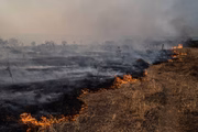 MS decreta emergência por incêndios florestais
