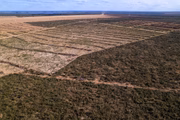 Cerrado