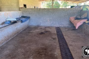 Eles dormiam em antigo curral
