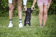 Não era um bebê, mas uma cachorrinha que eles adotaram