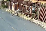 E arremessa a cadela contra o portão de uma casa