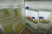 Crianças foram deixadas sem comida e água na residência