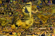 Torcida do Borussia Dortmundo final da Champions League 2023/24