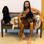 OS cães têm nome de cantores da MPB, como Cazuza e Vinícius de Moraes 