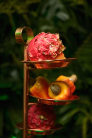 Frutas típicas da Amazônia