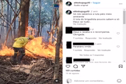 Brigadista fez declaração meio ambiente 