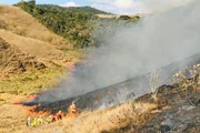 A Brigada Matutu tem como foco de atuação toda a região da Serra da Mantiqueira, especialmente no Parque Estadual da Serra do Papagaio, Parque Nacional de Itatiaia e Área de Proteção Ambiental da Serra da Mantiqueira