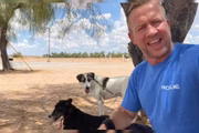 Foi este gesto que o inspirou a reunir outros militares e mulheres com cães e gatos que tinham feito amizade enquanto serviam