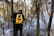 Equipes da Defesa Civil combatem os incêndios em SP