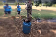 A cobra estava em uma área entre um shopping do DF e uma parada de ônibus 