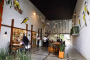 Castália Padaria e Café é uma das participantes do Coffee Week