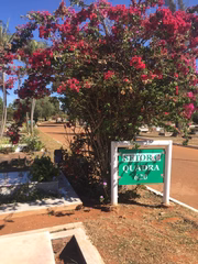 Cemitério da Asa Sul