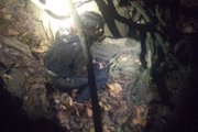 Mulher é encontrada em mata fechada após admitir à polícia que matou as duas filhas, em Edéia, Goiás