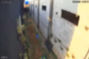 Criança que matou 23 animais esteve em inauguração de fazendinha em hospital veterinário no dia anterior